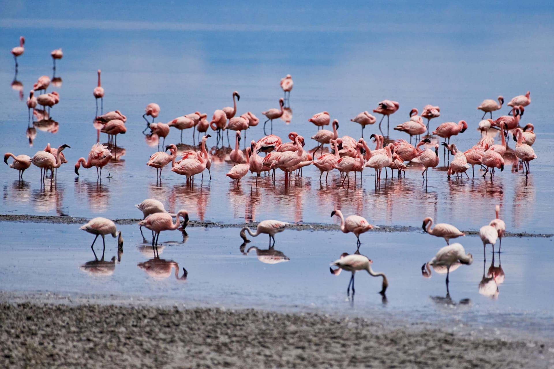 Lake Manyara National Park
